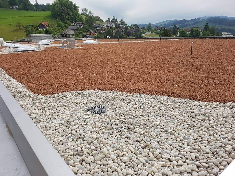 Flachdach Begrünung in Teufen