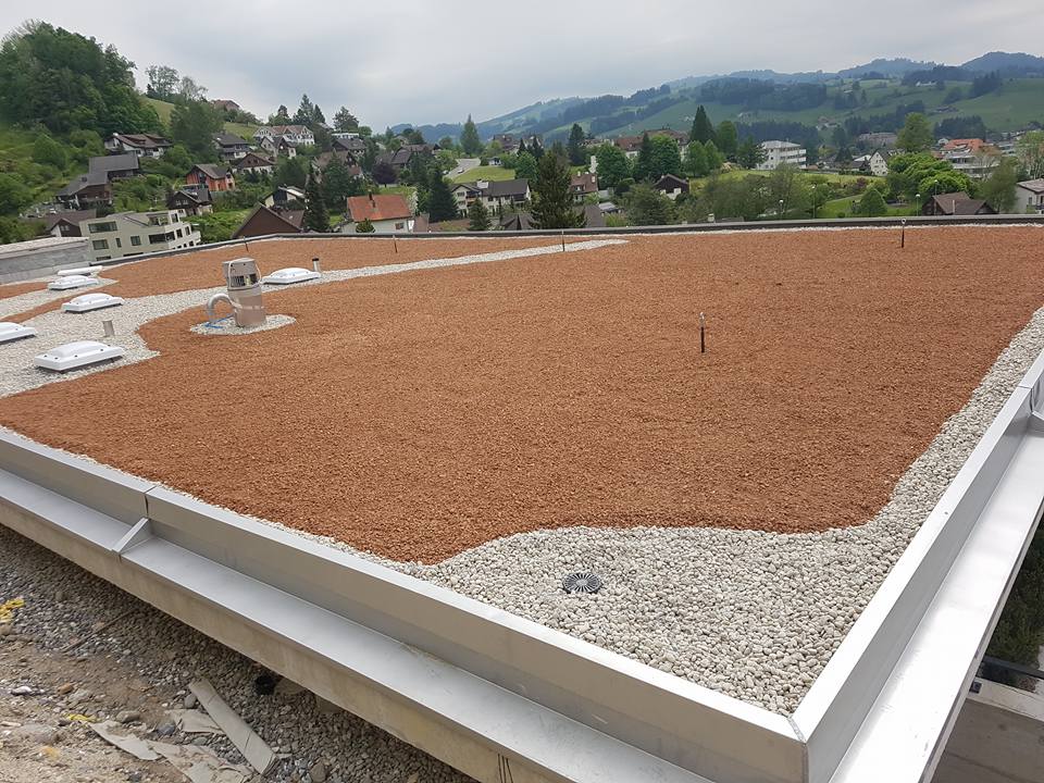 Flachdach Begrünung in Teufen Bild 3